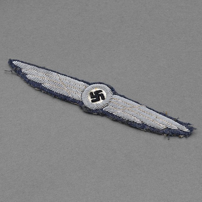 RD5 DLV Pilot's Badge — image 5