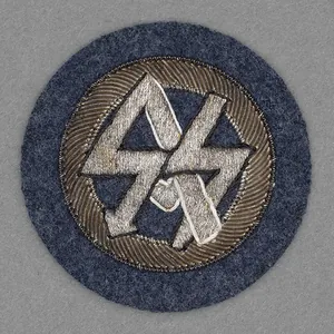 RD8 DLV Traditions Badge for Former SS & SA Fliegerstürme …