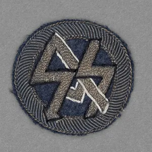 RD9 DLV Traditions Badge Former SS & SA Fliegerstürme, smaller …