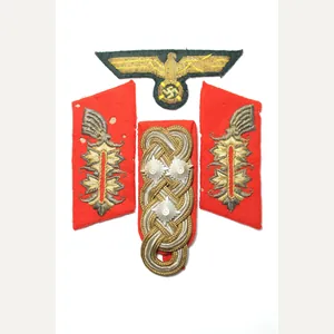 WW2 German Extreemly Rare Generaloberst (Colonel General) Original Insignia Set