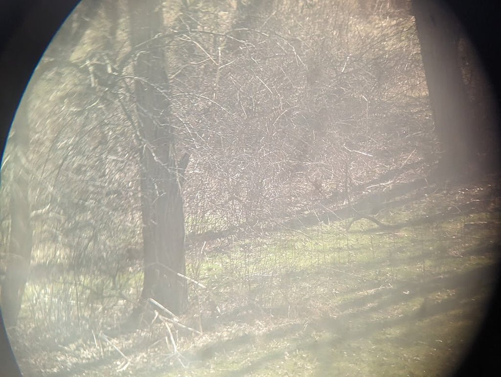 Soviet 6X30 Binoculars 1940 GOMZ — image 8