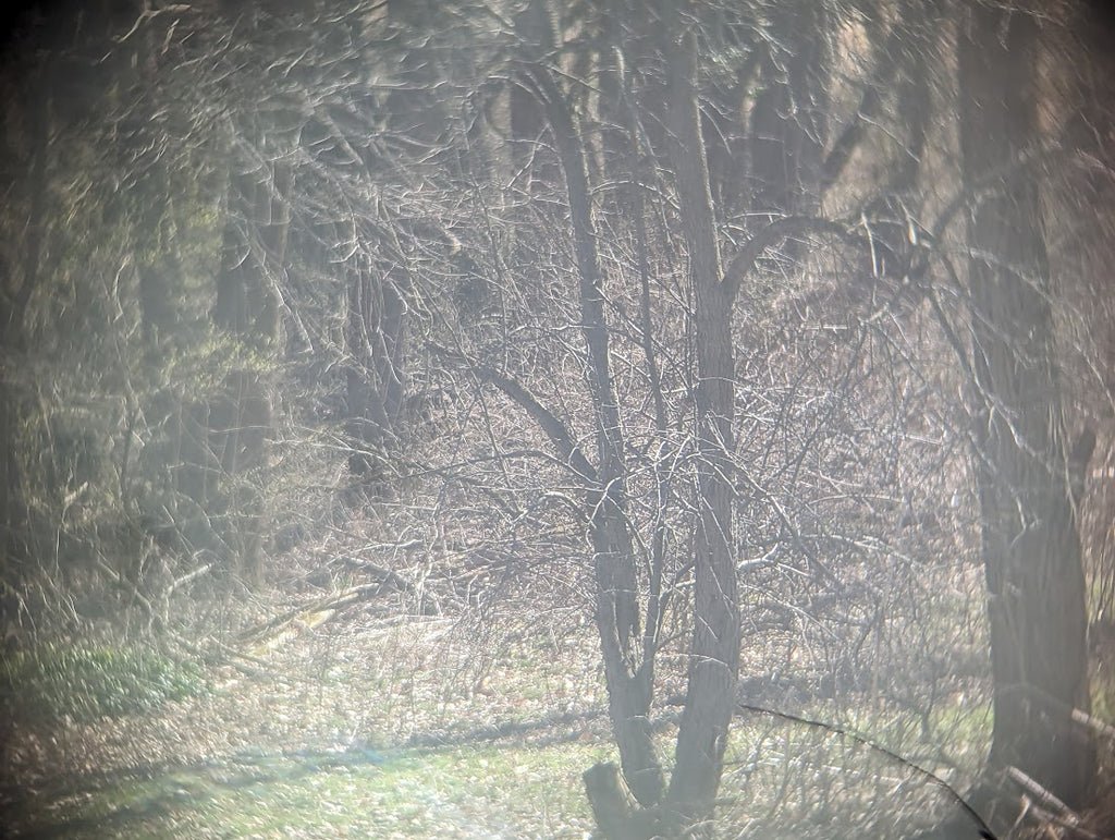 Soviet 6X30 Binoculars 1940 GOMZ — image 9