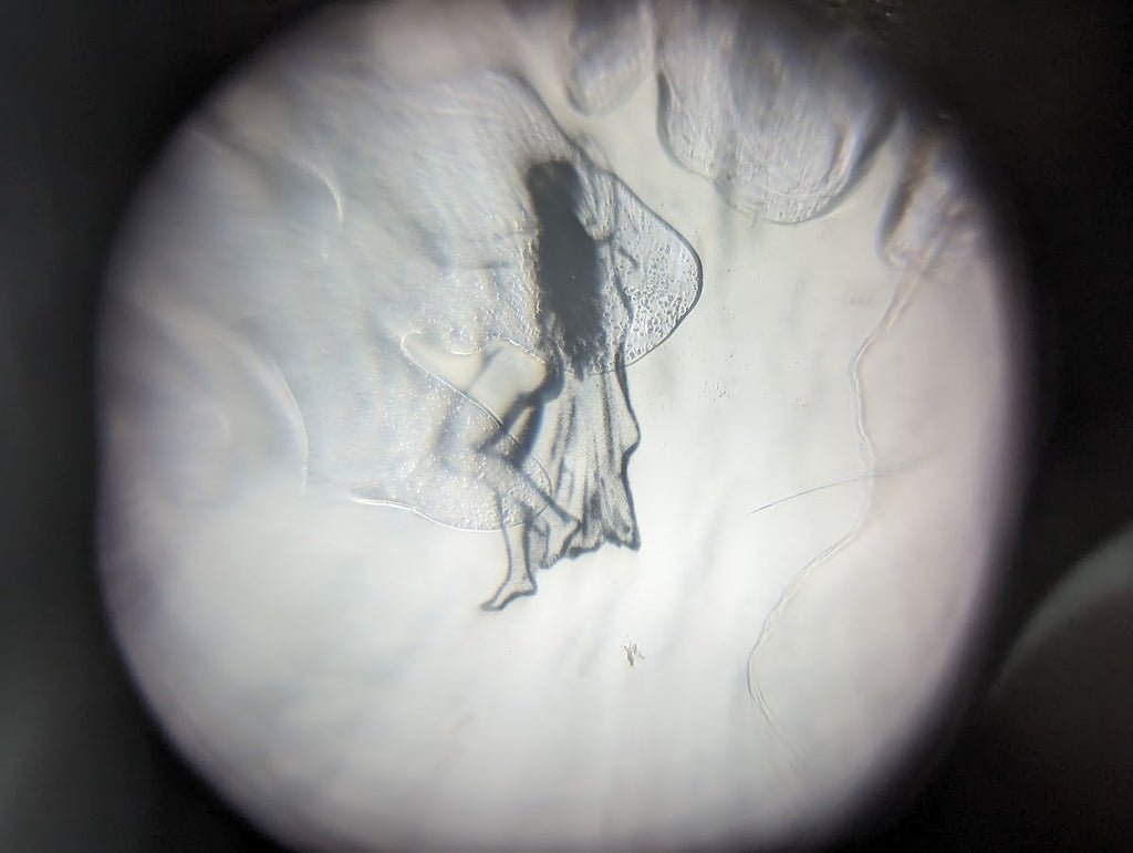 Tiny Locket Picture Viewer Cinematographie Bijou Depose — image 3