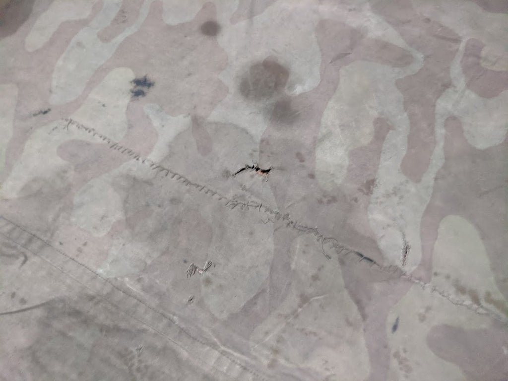 Stained Italian Shelter Quarter — image 10