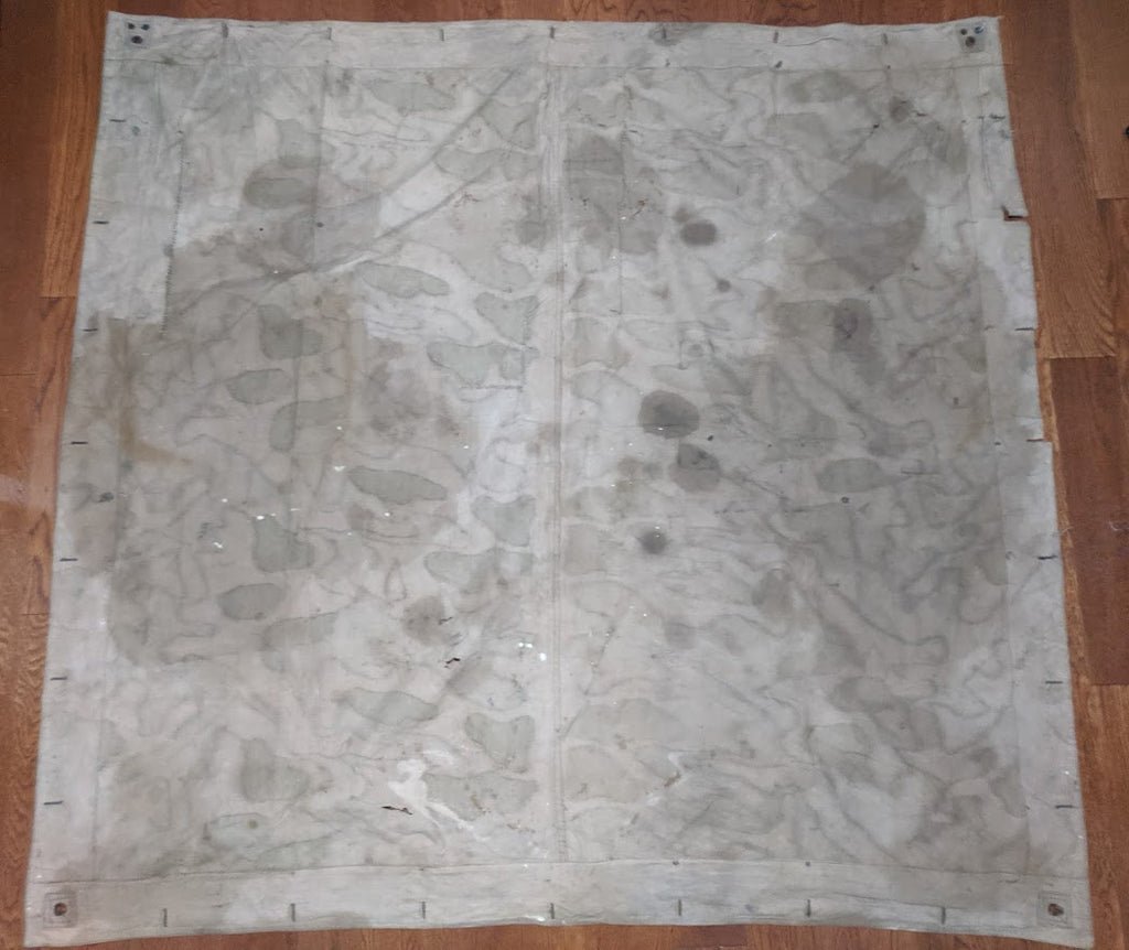 Stained Italian Shelter Quarter — image 11