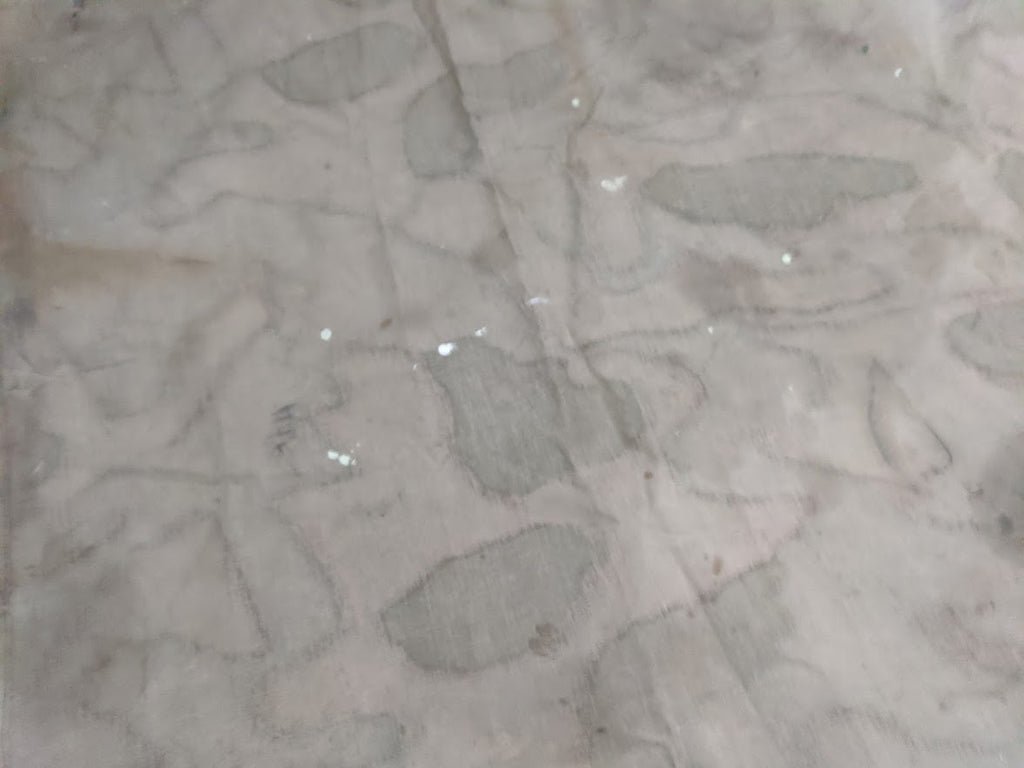 Stained Italian Shelter Quarter — image 12