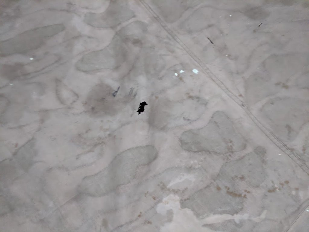 Stained Italian Shelter Quarter — image 13