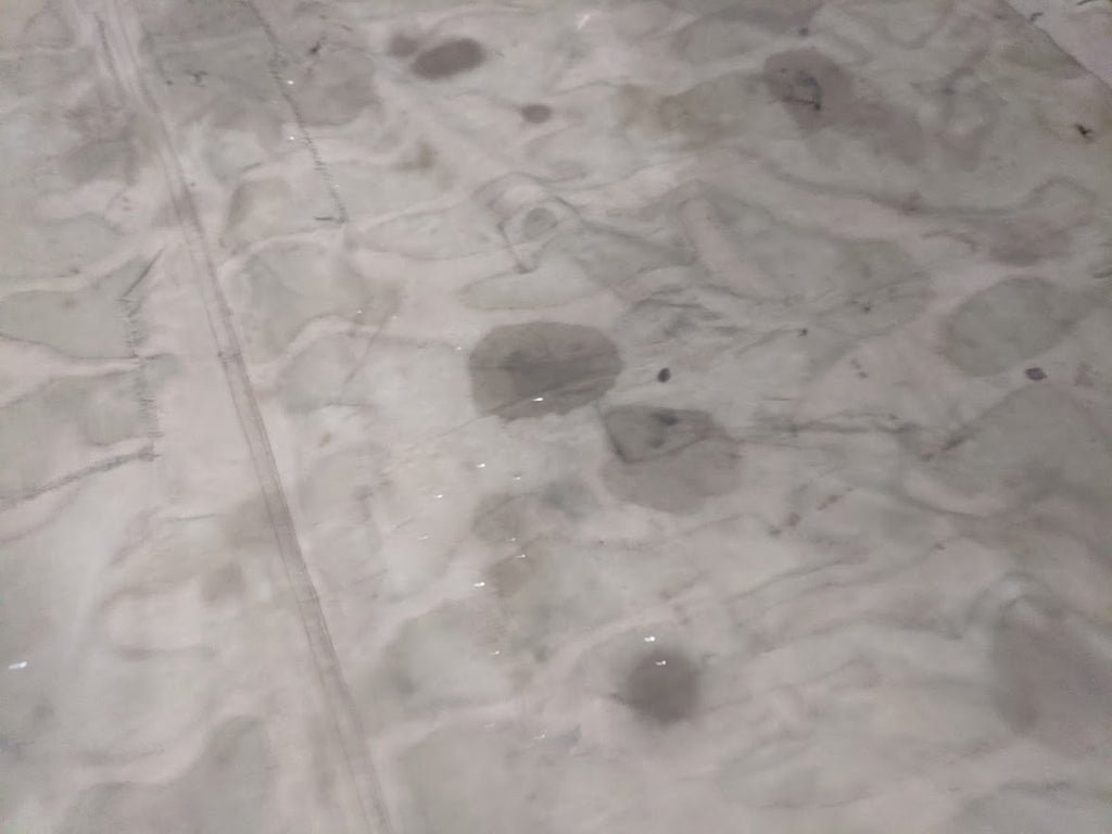 Stained Italian Shelter Quarter — image 14