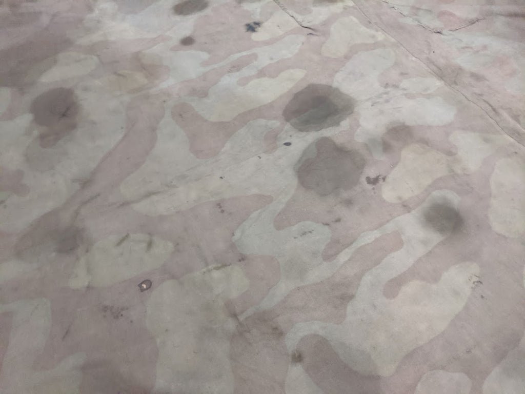 Stained Italian Shelter Quarter — image 4