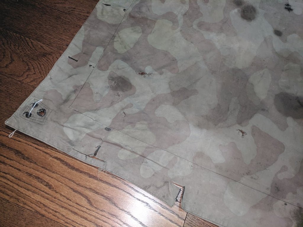 Stained Italian Shelter Quarter — image 5