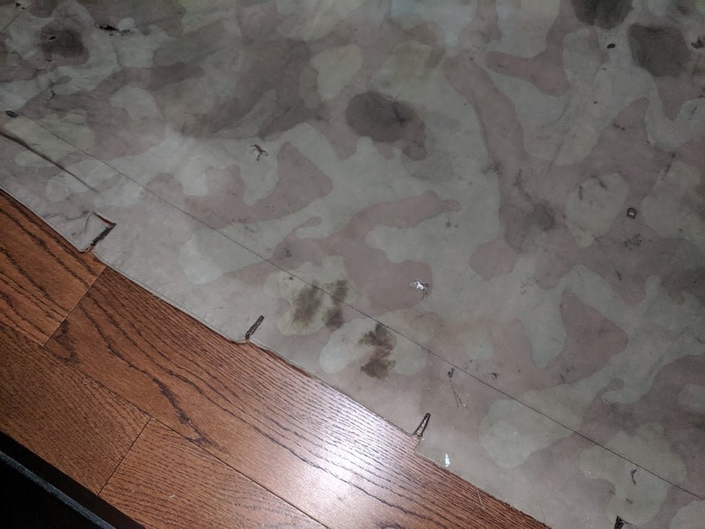 Stained Italian Shelter Quarter — image 6