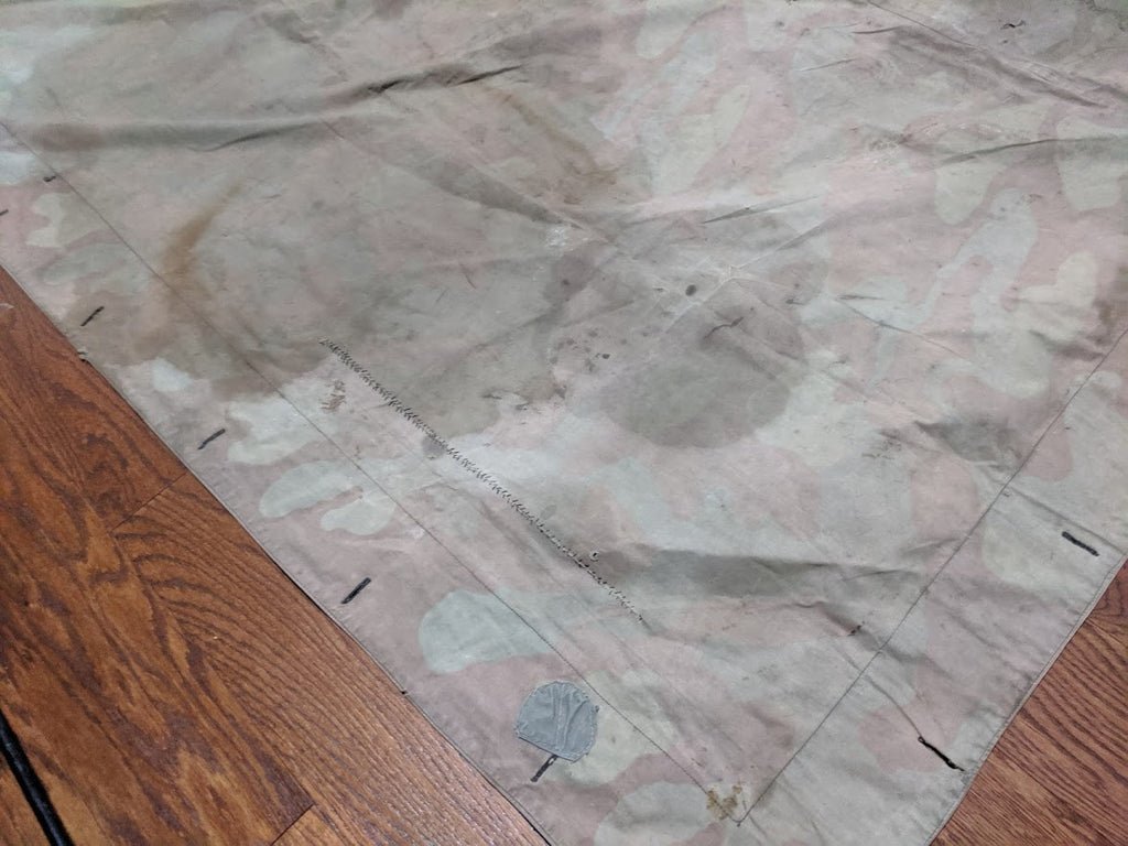 Stained Italian Shelter Quarter — image 7