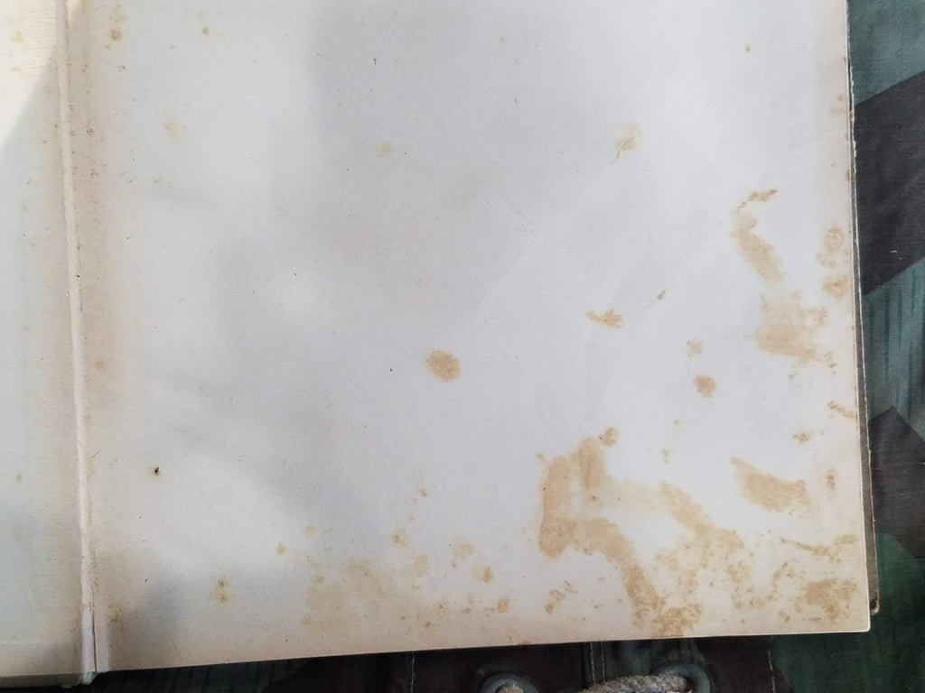 Tailor's Book from 1904 (How to Make Men's Clothing) — image 14