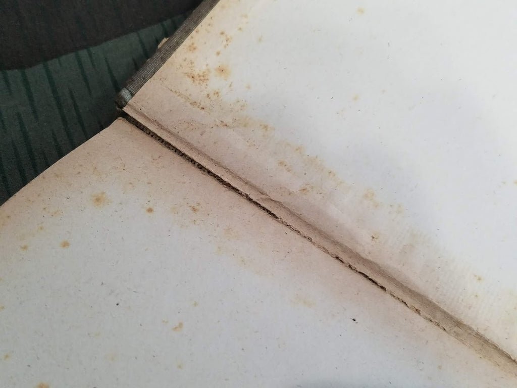 Tailor's Book from 1904 (How to Make Men's Clothing) — image 15