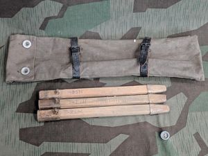 Tent Pegs with Bag