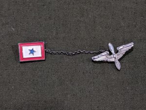 Army Air Corps in Service Pin