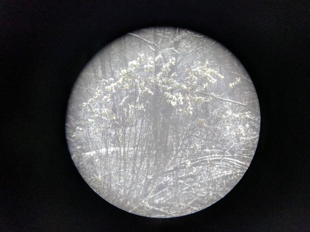 WWI Binoculars M 9/13 Z Feldstecher mit Skala 6 fach Nr.739695 UK17.7.17 — image 10