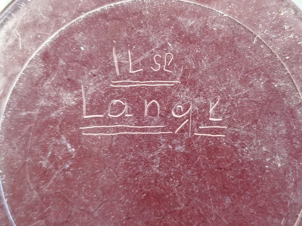 Bakelite Container Ilse Lange — image 4