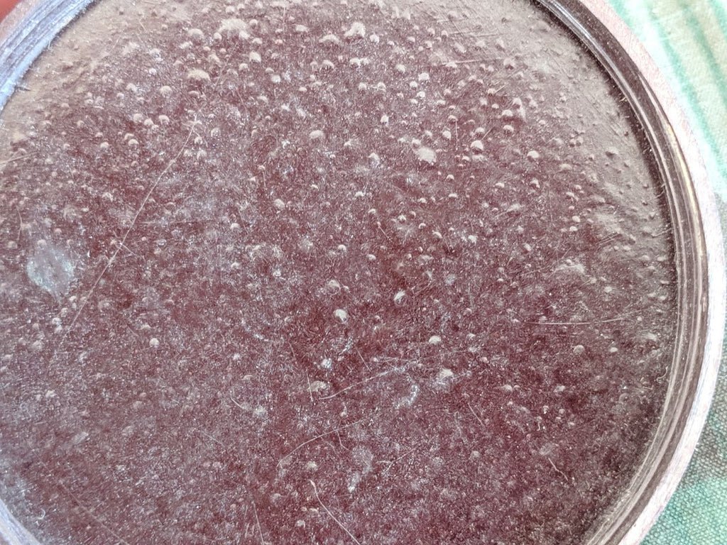 Bakelite Container Ilse Lange — image 6