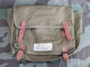 Horse Gas Mask Bag / Personal Item Bag