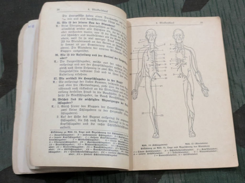 Original Medical Book Körperbau 1941 — image 4