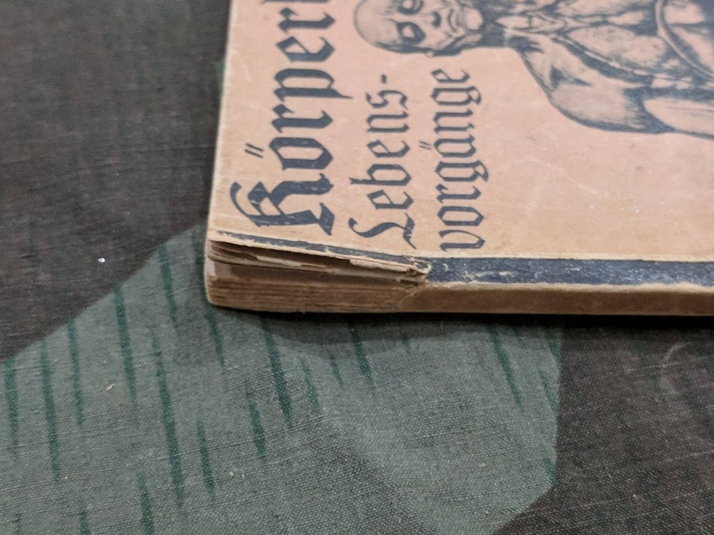 Original Medical Book Körperbau 1941 — image 5