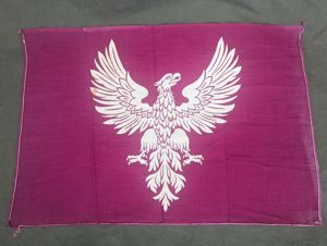 WWI Flag of US & Canadian Volunteers for the Polish …