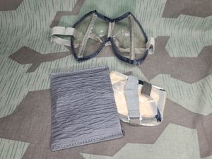 Original Clear Dust Goggles