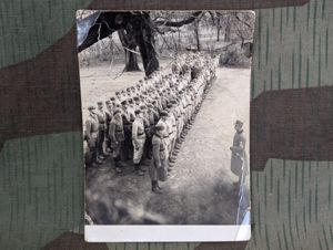 RAD Picture Postcard