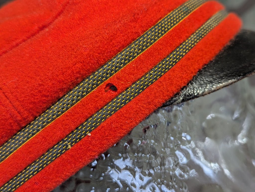 Late 1800s German Fraternity Hat — image 5