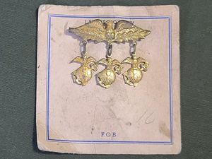 Eagle Marine Corps EGA Pin on Card