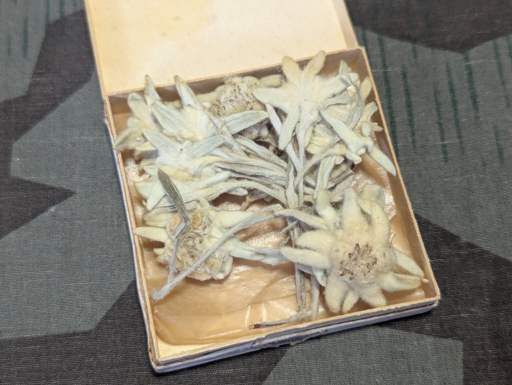 Dried Edelweiss Flowers in Ovarin Women's Supplement Box — image 4