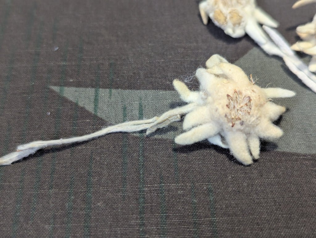 Dried Edelweiss Flowers in Ovarin Women's Supplement Box — image 5