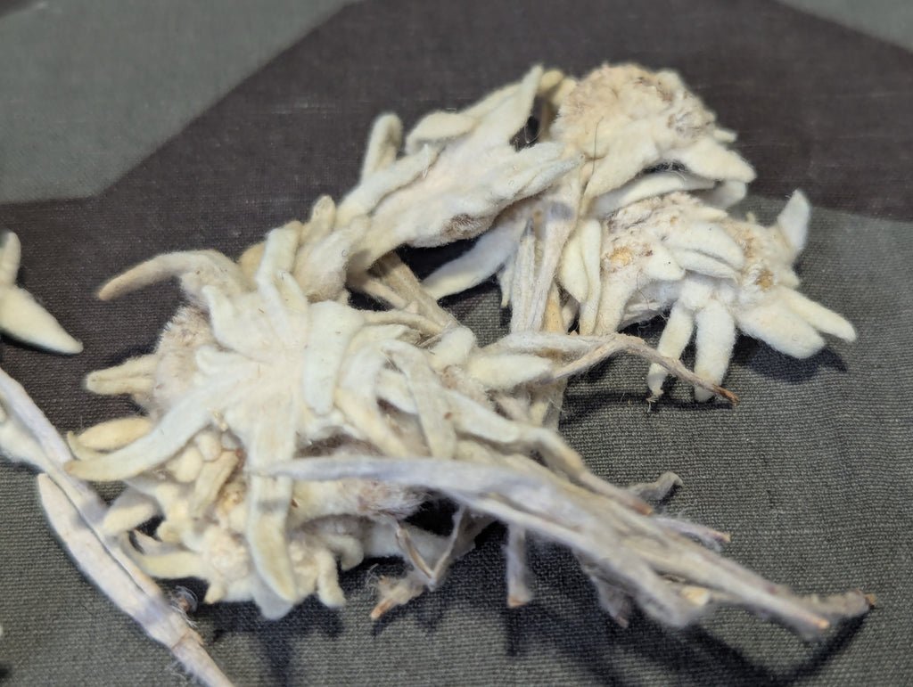 Dried Edelweiss Flowers in Ovarin Women's Supplement Box — image 7