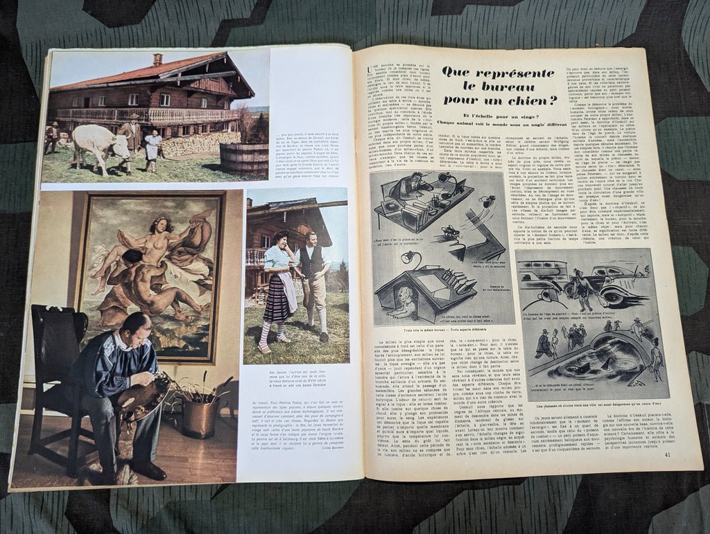 July 1941 Signal Magazine in French No. 14 — image 19