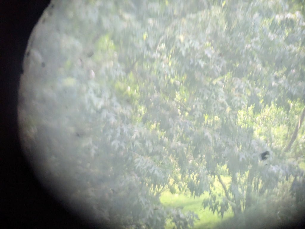 Dienstglas Paris Made Modified into Monocular with Pouch — image 6