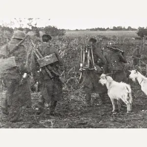 Original Photo German Heavy MG Crew Being Greeted by Locals