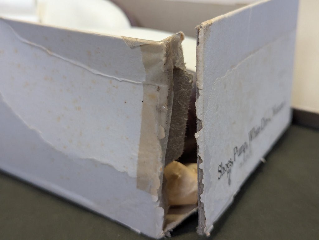 White Marine Corps Bow Pump Shoes in Box — image 6