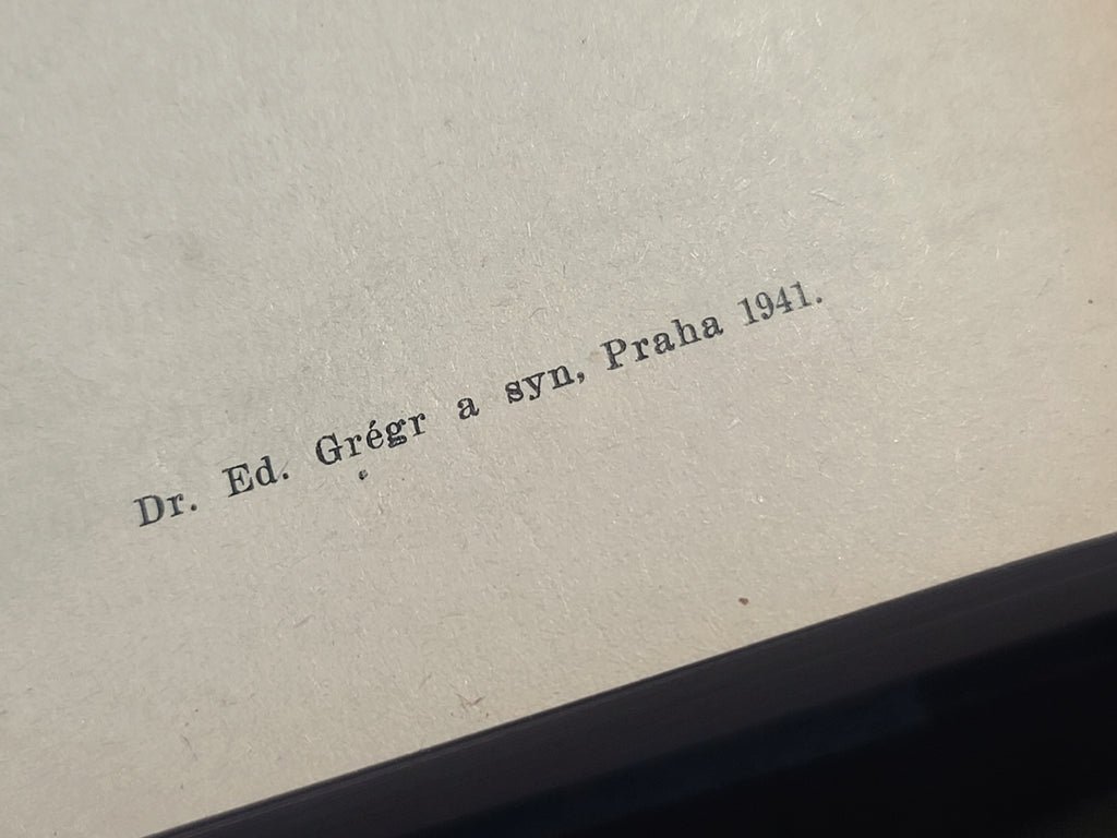 1941 Czech - German Dictionary — image 9