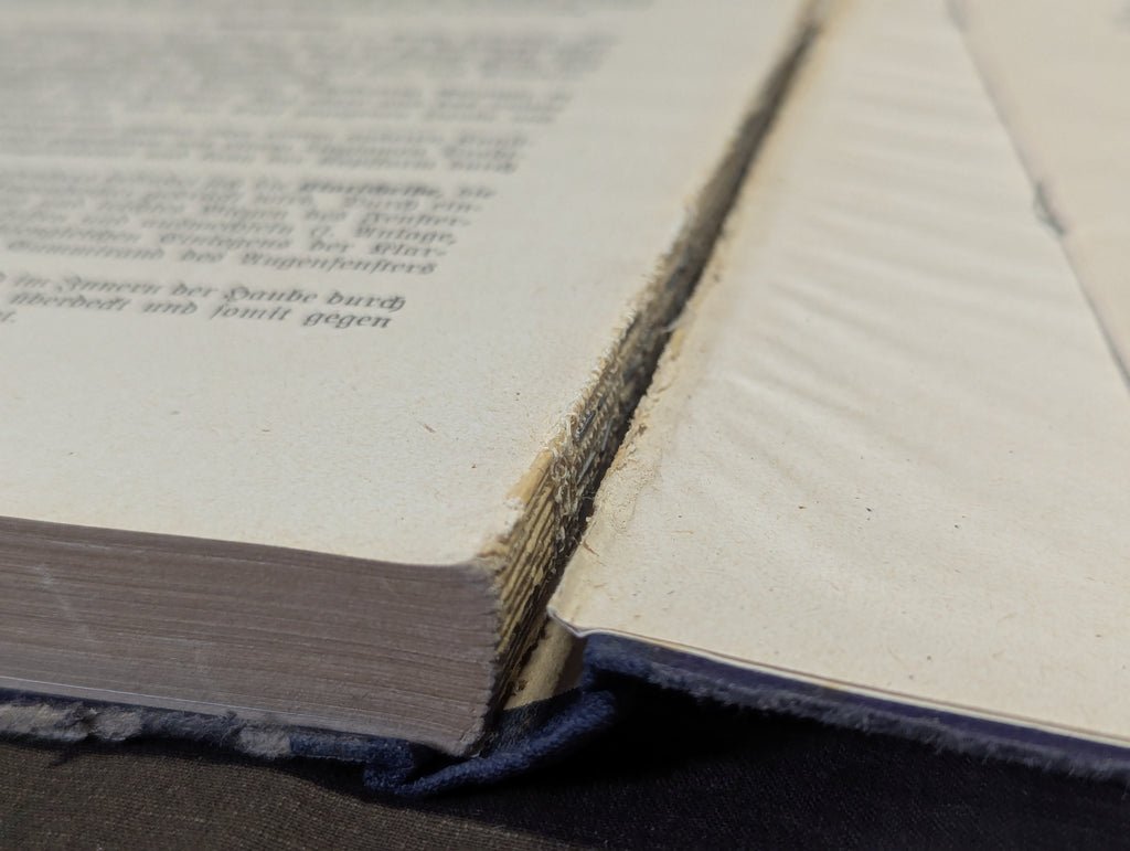 1939 Training Manual for Medics H.Dv.59 — image 6