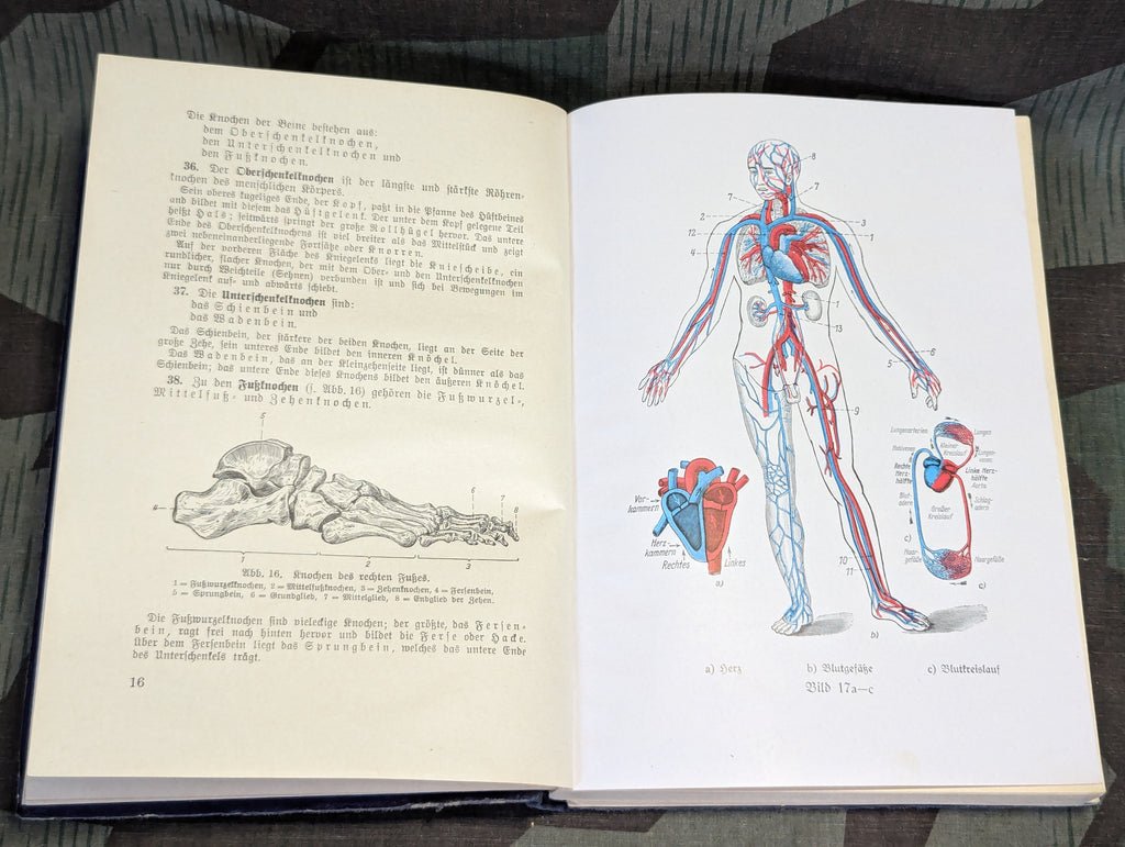 1939 Training Manual for Medics H.Dv.59 — image 9