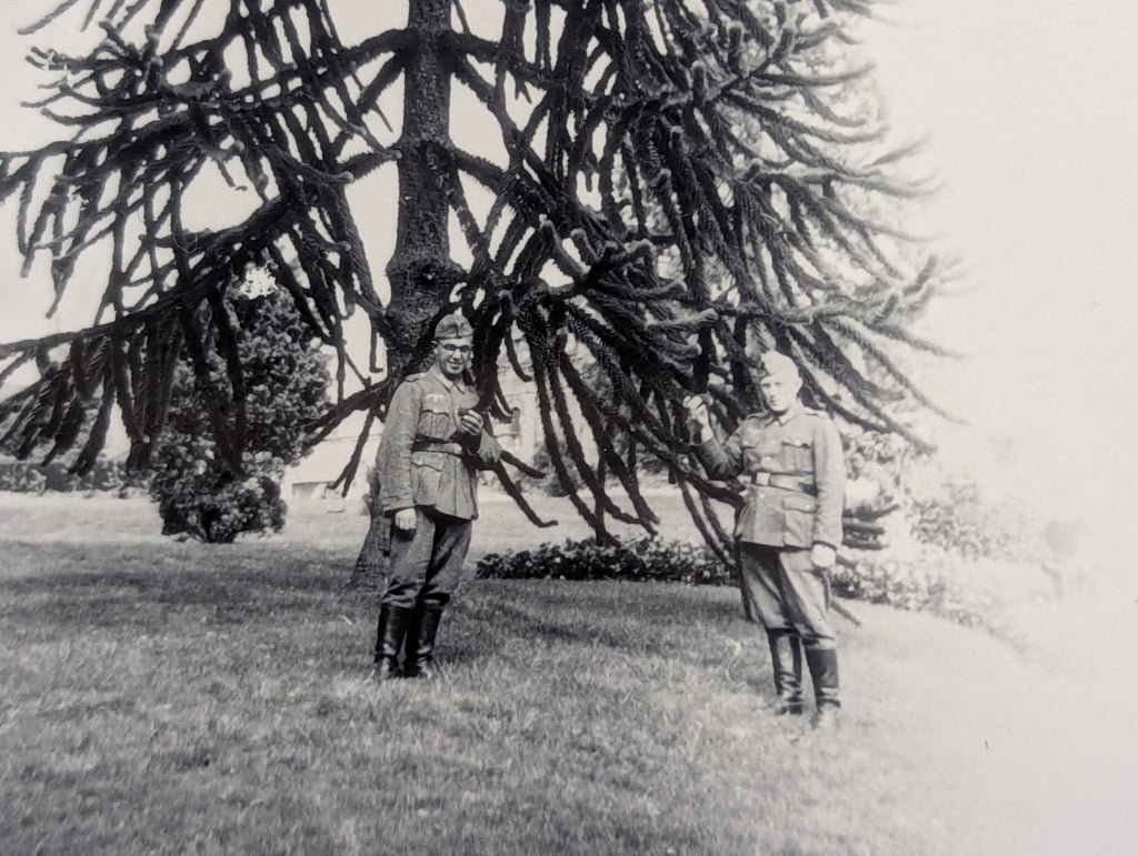 Photo of German Soldiers With Tree — image 2