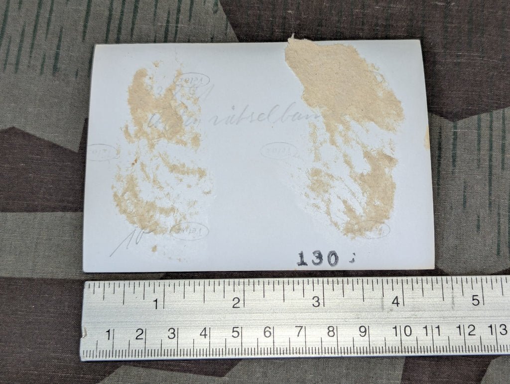 Photo of German Soldiers With Tree — image 3