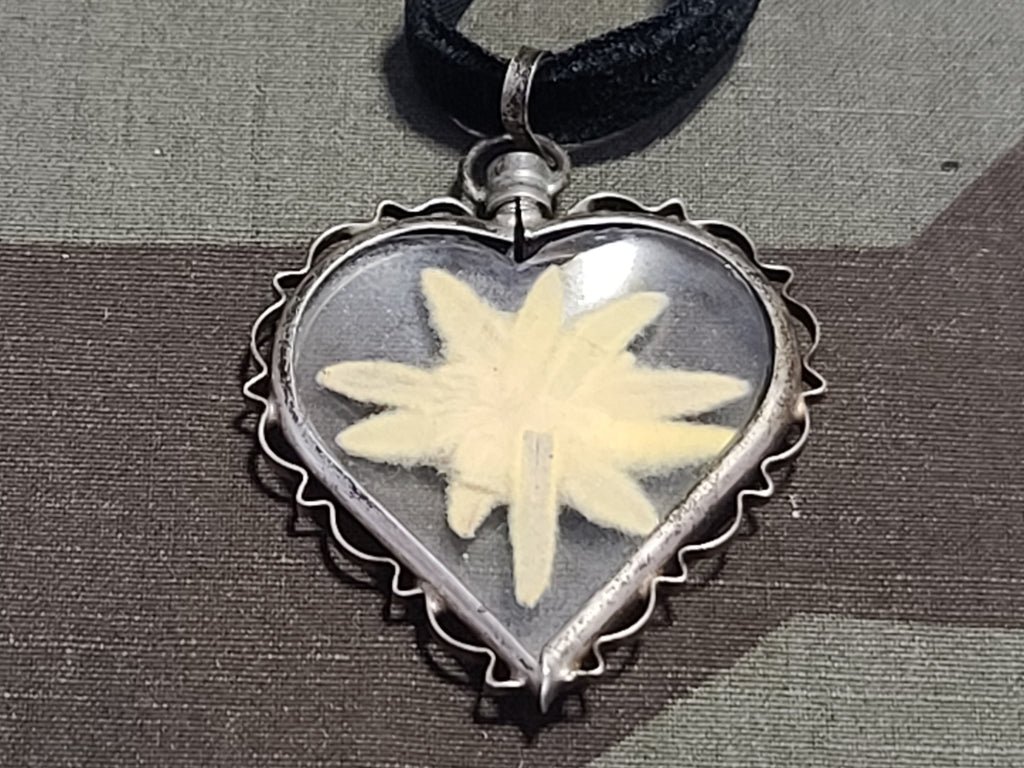 Edelweiss Heart Shaped Velvet Necklace 835 Silver — image 3