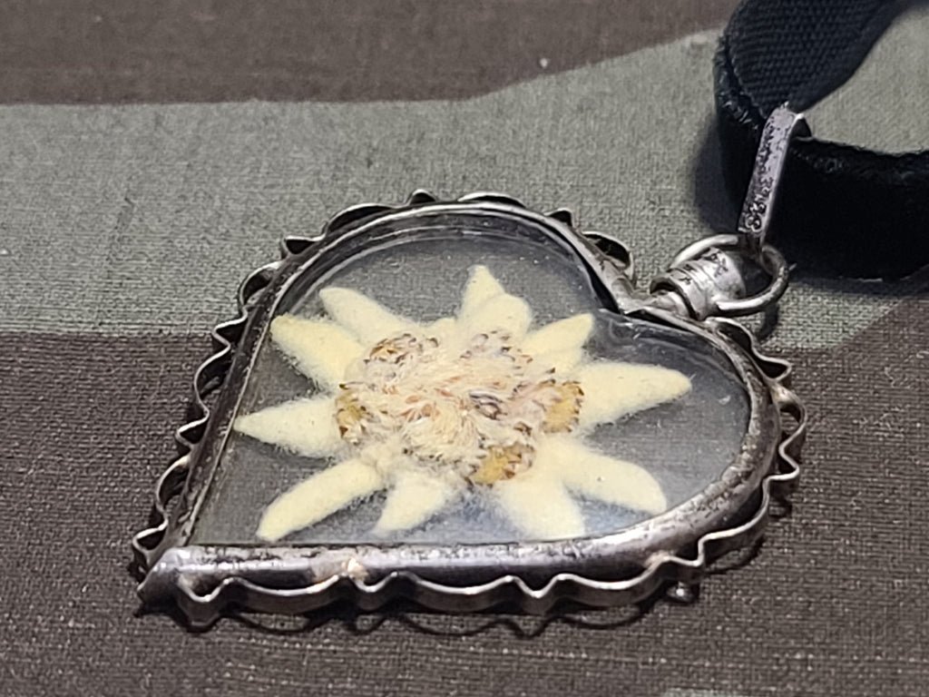 Edelweiss Heart Shaped Velvet Necklace 835 Silver — image 7