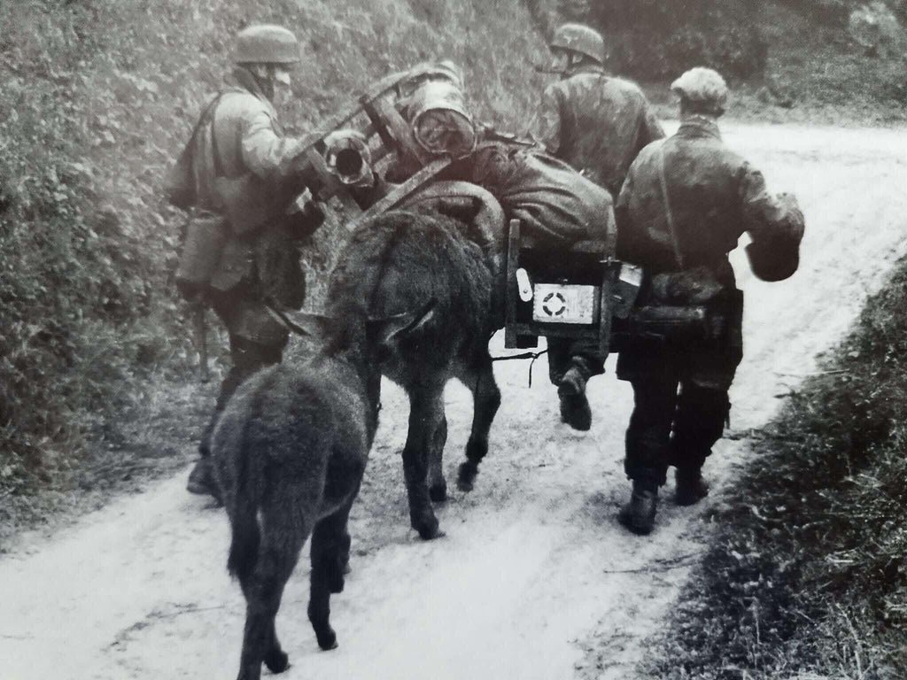 1939 French Mess Kit — image 10