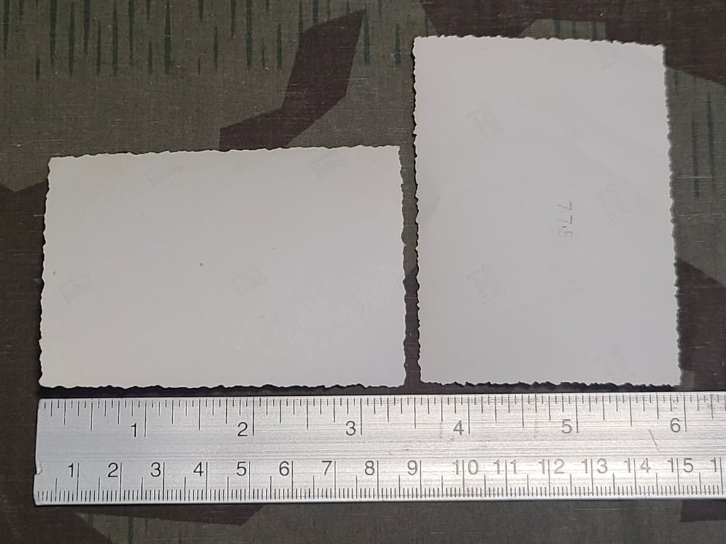 Lot of 3 RAD Photos (on a Farm?) — image 3