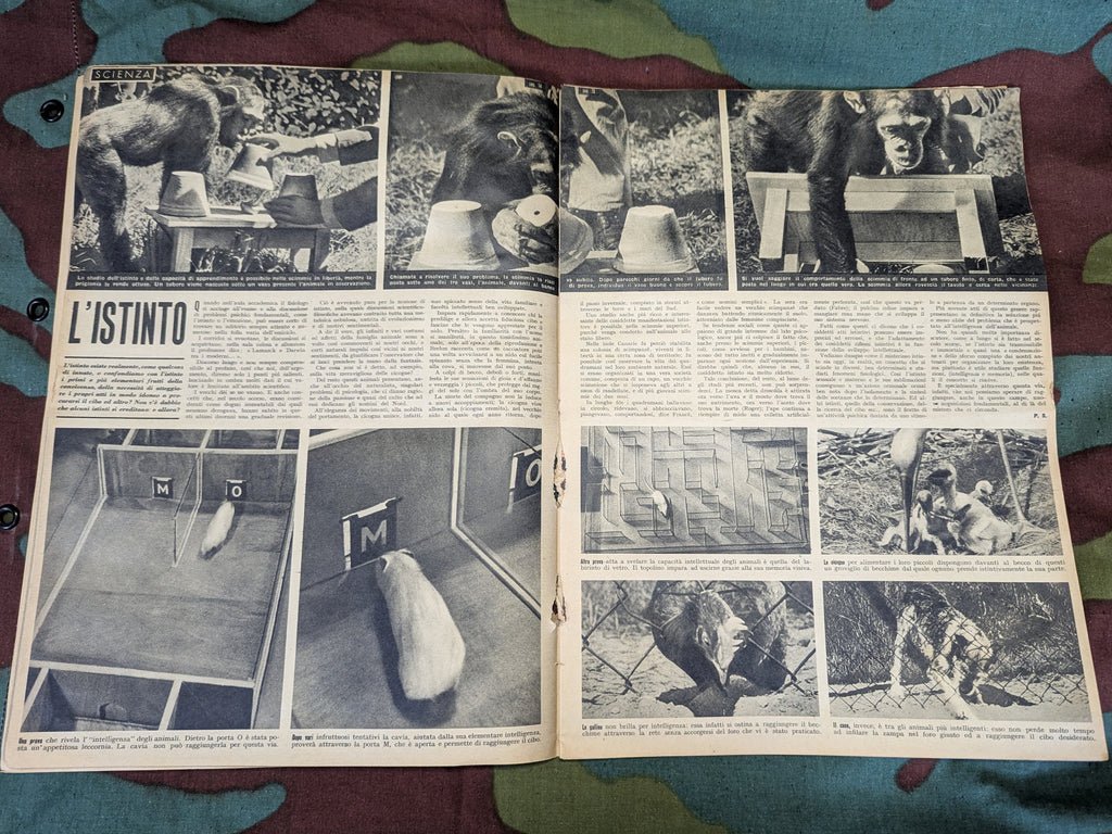 8-15 July 1943 Italian Tempo Magazine — image 9