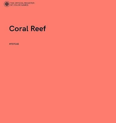 Coral Colored Dress with Scalloped Trim(B-36' W-26' H-36') — image 22