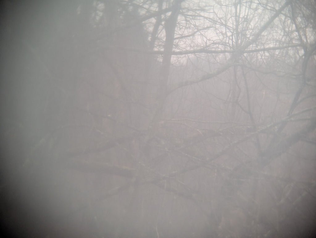 CAG 6X30 Binoculars Nice Swarovski — image 11